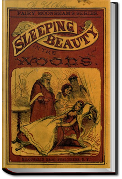 The Sleeping Beauty and Other Fairy Tales | Charles Perrault